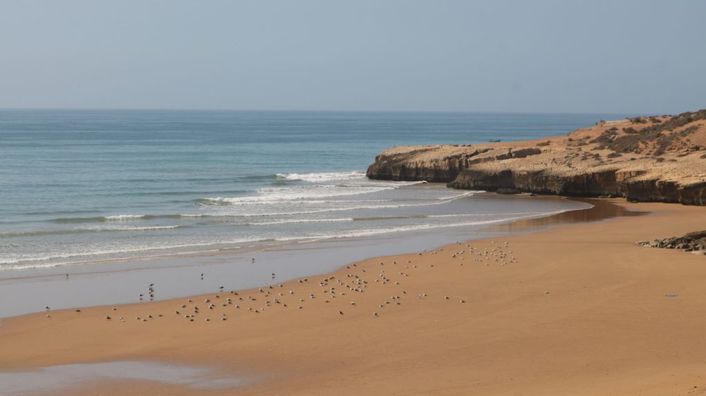 Waves breaking at Camel Point surf spot in Morocco, with a scenic coastal landscape in the background.