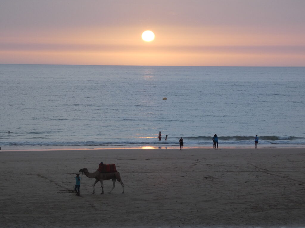 Surfer enjoying a beautiful sunset in Agadir after a day of surfing.